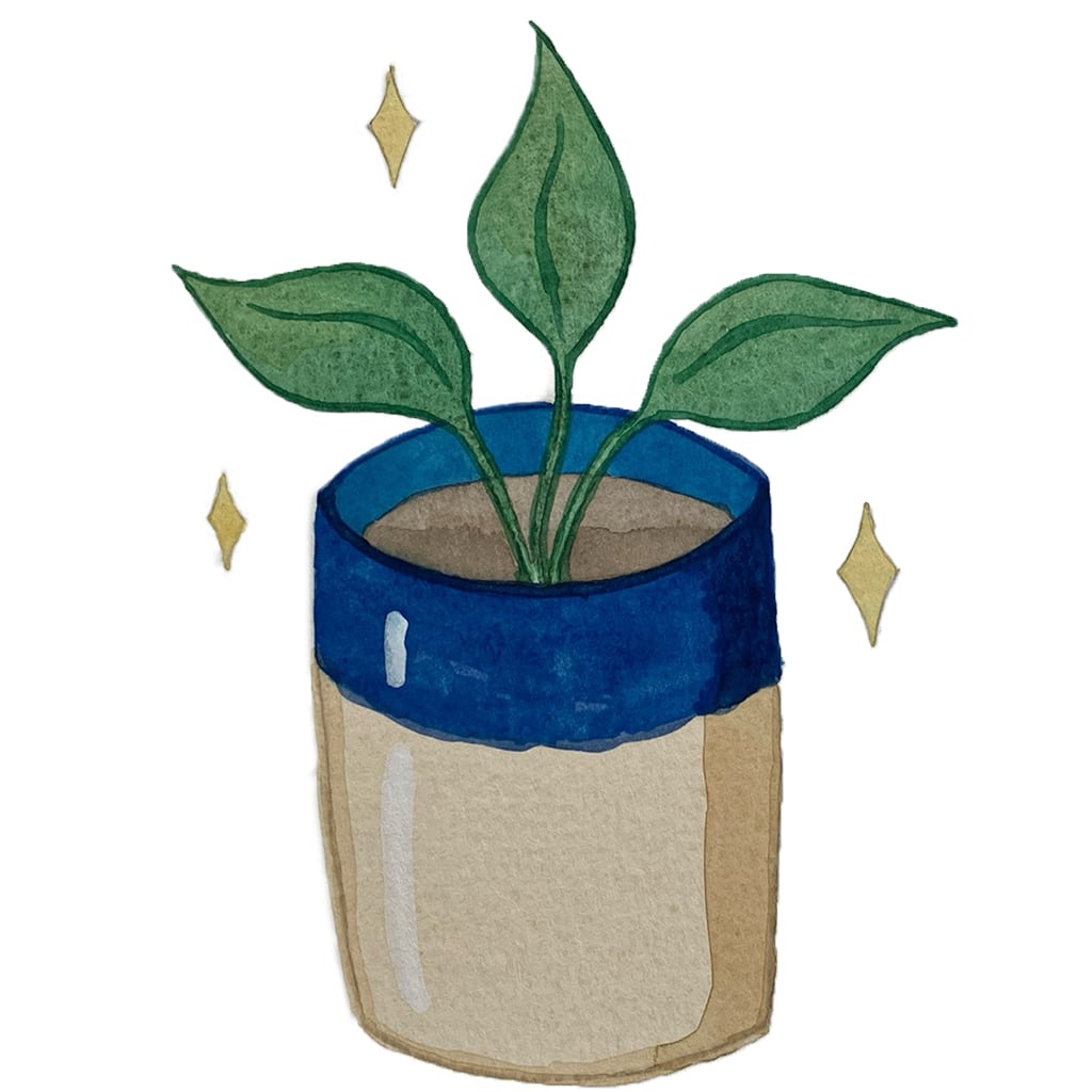 Illustration aquarelle d’une plante poussant dans un contenant de bougie réutilisé, Maison Nimbe
